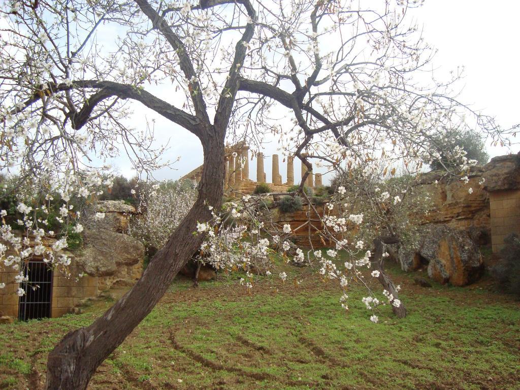 B&B Giarrizzo Licata Εξωτερικό φωτογραφία